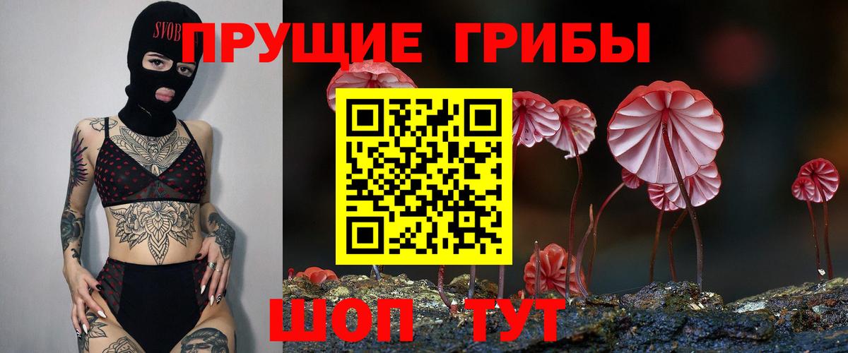 Галлюциногенные грибы прущие грибы Северск